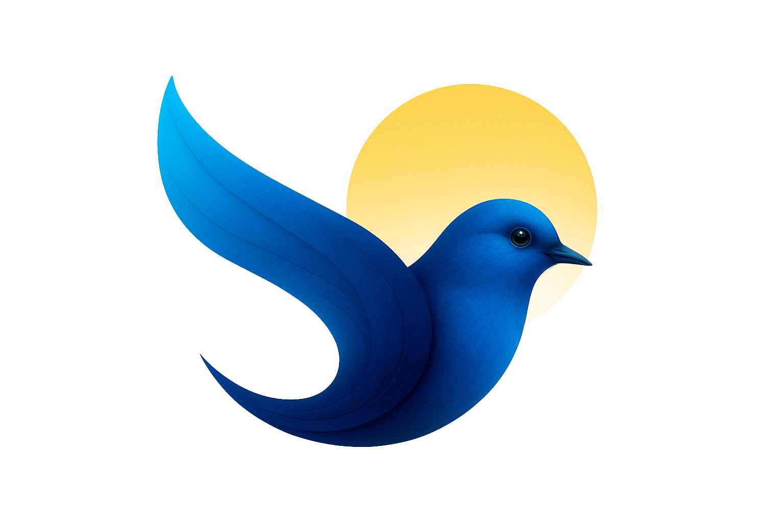 Foto Sobre Nós - APEHAS